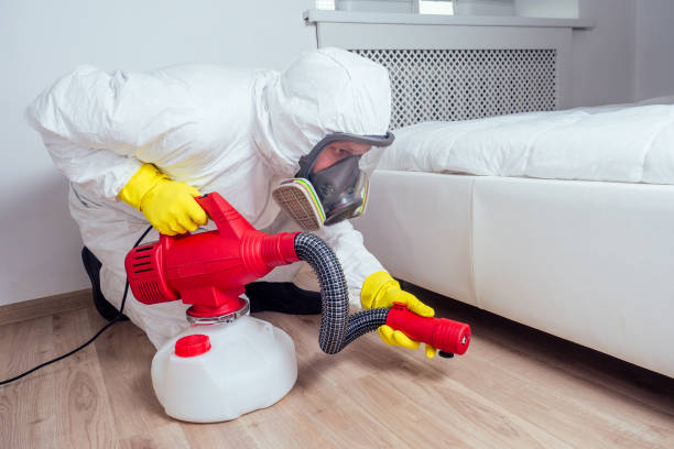 Best Bed Bug Extermination  in Port St Lucie, FL