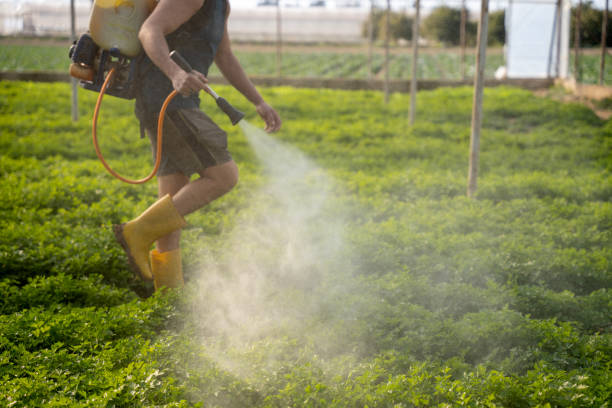 Best Pest Prevention Services  in Port St Lucie, FL