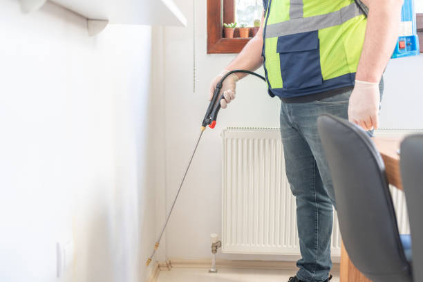 Best Mosquito Control Services  in Port St Lucie, FL