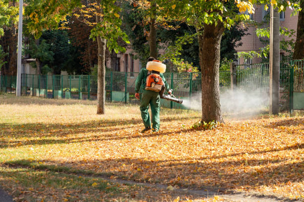 Pest Control for Restaurants in Port St Lucie, FL